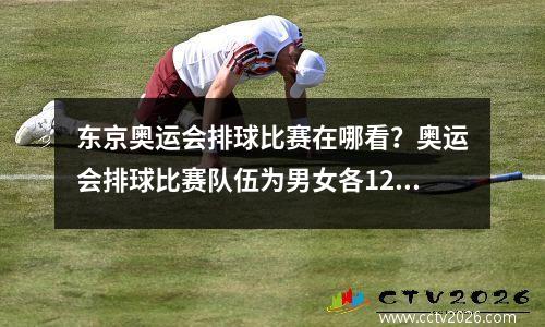 东京奥运会排球比赛在哪看？奥运会排球比赛队伍为男女各12队