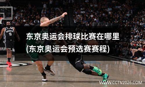 东京奥运会排球比赛在哪里(东京奥运会预选赛赛程)