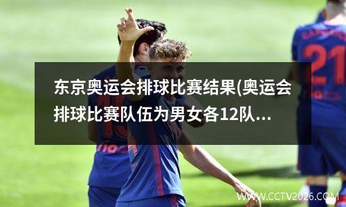 东京奥运会排球比赛结果(奥运会排球比赛队伍为男女各12队)