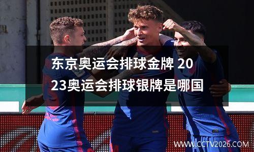 东京奥运会排球金牌 2023奥运会排球银牌是哪国