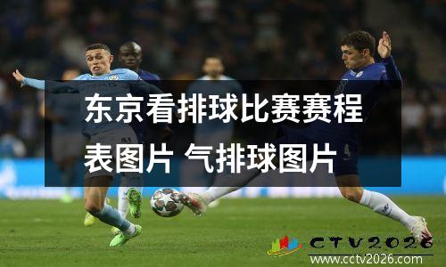 东京看排球比赛赛程表图片 气排球图片