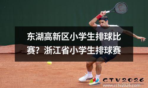 东湖高新区小学生排球比赛？浙江省小学生排球赛