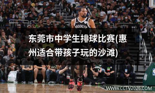 东莞市中学生排球比赛(惠州适合带孩子玩的沙滩)