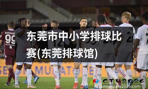 东莞市中小学排球比赛(东莞排球馆)