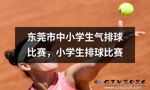 东莞市中小学生气排球比赛，小学生排球比赛