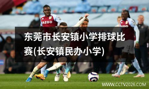 东莞市长安镇小学排球比赛(长安镇民办小学)