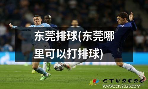 东莞排球(东莞哪里可以打排球)