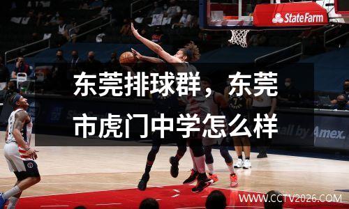 东莞排球群，东莞市虎门中学怎么样