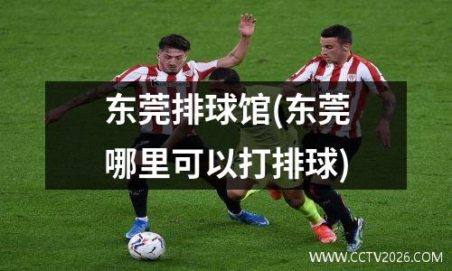 东莞排球馆(东莞哪里可以打排球)