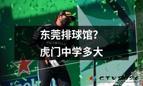 东莞排球馆？虎门中学多大