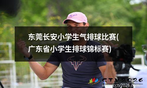 东莞长安小学生气排球比赛(广东省小学生排球锦标赛)