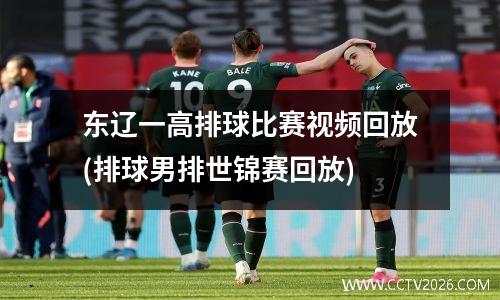 东辽一高排球比赛视频回放(排球男排世锦赛回放)