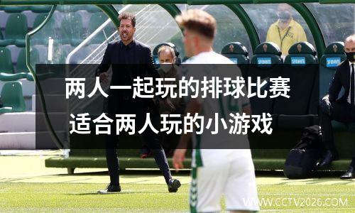 两人一起玩的排球比赛 适合两人玩的小游戏