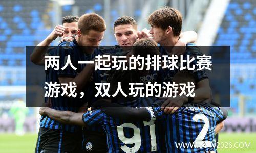 两人一起玩的排球比赛游戏，双人玩的游戏