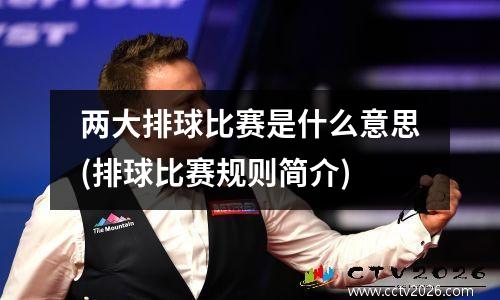 两大排球比赛是什么意思(排球比赛规则简介)