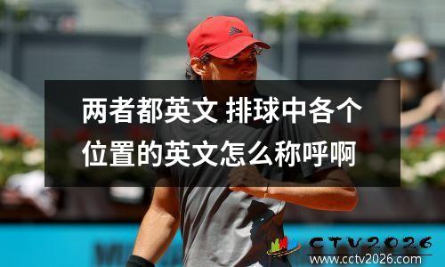 两者都英文 排球中各个位置的英文怎么称呼啊