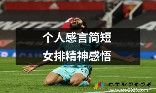 个人感言简短 女排精神感悟