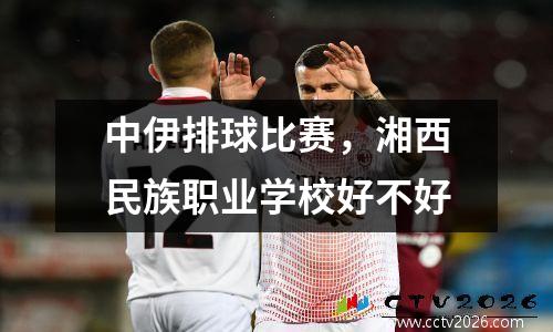 中伊排球比赛，湘西民族职业学校好不好