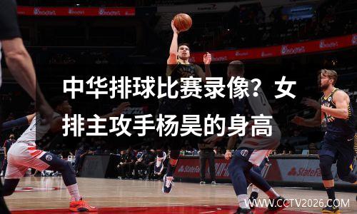 中华排球比赛录像？女排主攻手杨昊的身高