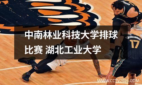 中南林业科技大学排球比赛 湖北工业大学