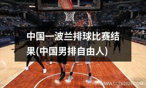 中国一波兰排球比赛结果(中国男排自由人)