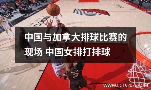 中国与加拿大排球比赛的现场 中国女排打排球