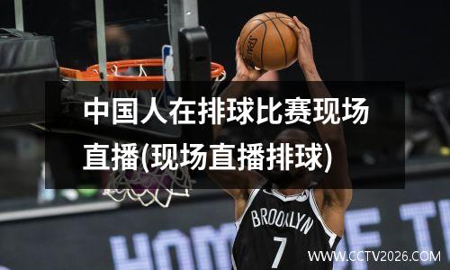 中国人在排球比赛现场直播(现场直播排球)