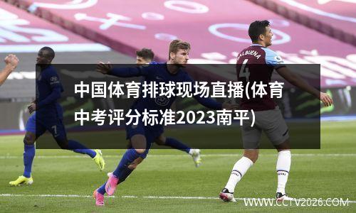 中国体育排球现场直播(体育中考评分标准2023南平)