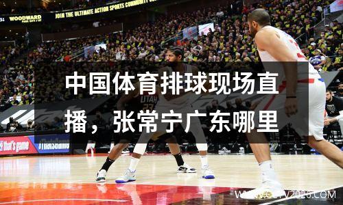 中国体育排球现场直播，张常宁广东哪里