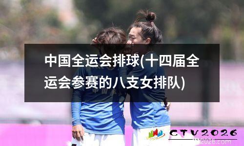 中国全运会排球(十四届全运会参赛的八支女排队)