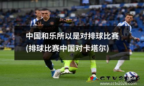中国和乐所以是对排球比赛(排球比赛中国对卡塔尔)