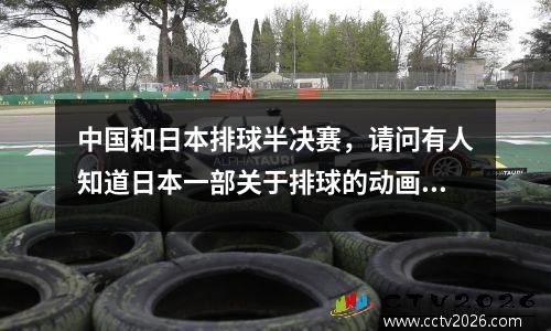 中国和日本排球半决赛，请问有人知道日本一部关于排球的动画片叫什么名字吗知道的回个帖