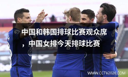 中国和韩国排球比赛观众席，中国女排今天排球比赛