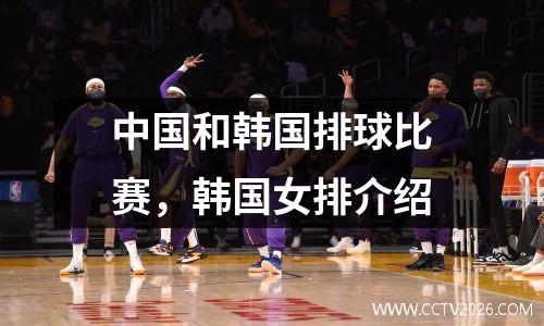 中国和韩国排球比赛，韩国女排介绍