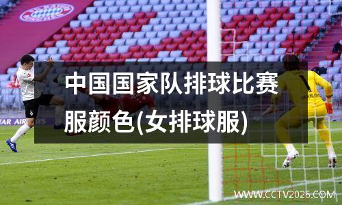 中国国家队排球比赛服颜色(女排球服)