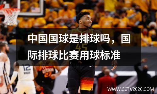 中国国球是排球吗，国际排球比赛用球标准