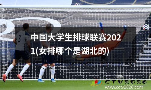 中国大学生排球联赛2021(女排哪个是湖北的)