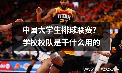 中国大学生排球联赛？学校校队是干什么用的