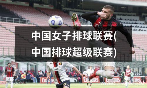 中国女子排球联赛(中国排球超级联赛)