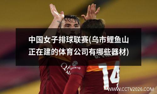 中国女子排球联赛(乌市鲤鱼山正在建的体育公司有哪些器材)