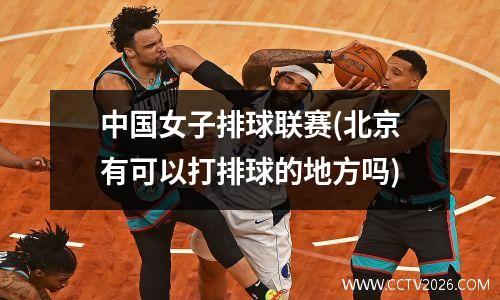 中国女子排球联赛(北京有可以打排球的地方吗)