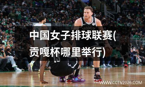 中国女子排球联赛(贡嘎杯哪里举行)
