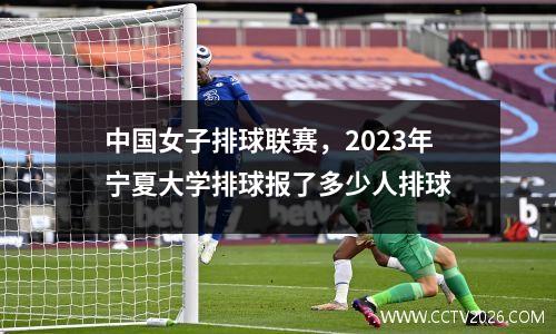 中国女子排球联赛，2023年宁夏大学排球报了多少人排球