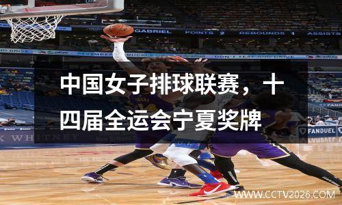 中国女子排球联赛，十四届全运会宁夏奖牌