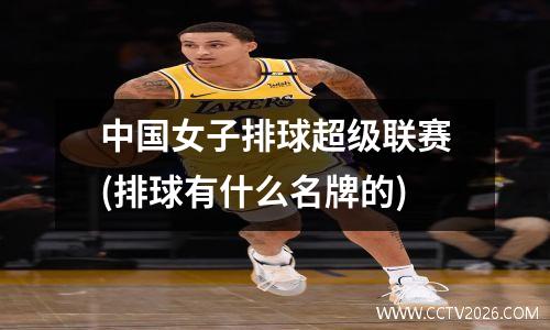 中国女子排球超级联赛(排球有什么名牌的)