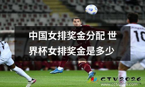 中国女排奖金分配 世界杯女排奖金是多少