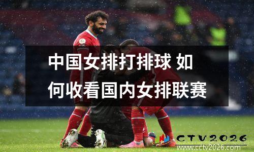 中国女排打排球 如何收看国内女排联赛