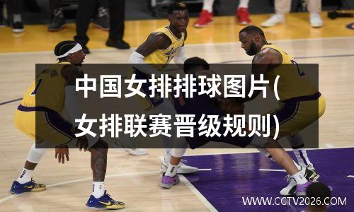 中国女排排球图片(女排联赛晋级规则)