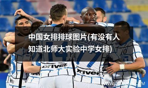 中国女排排球图片(有没有人知道北师大实验中学女排)