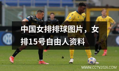 中国女排排球图片，女排15号自由人资料